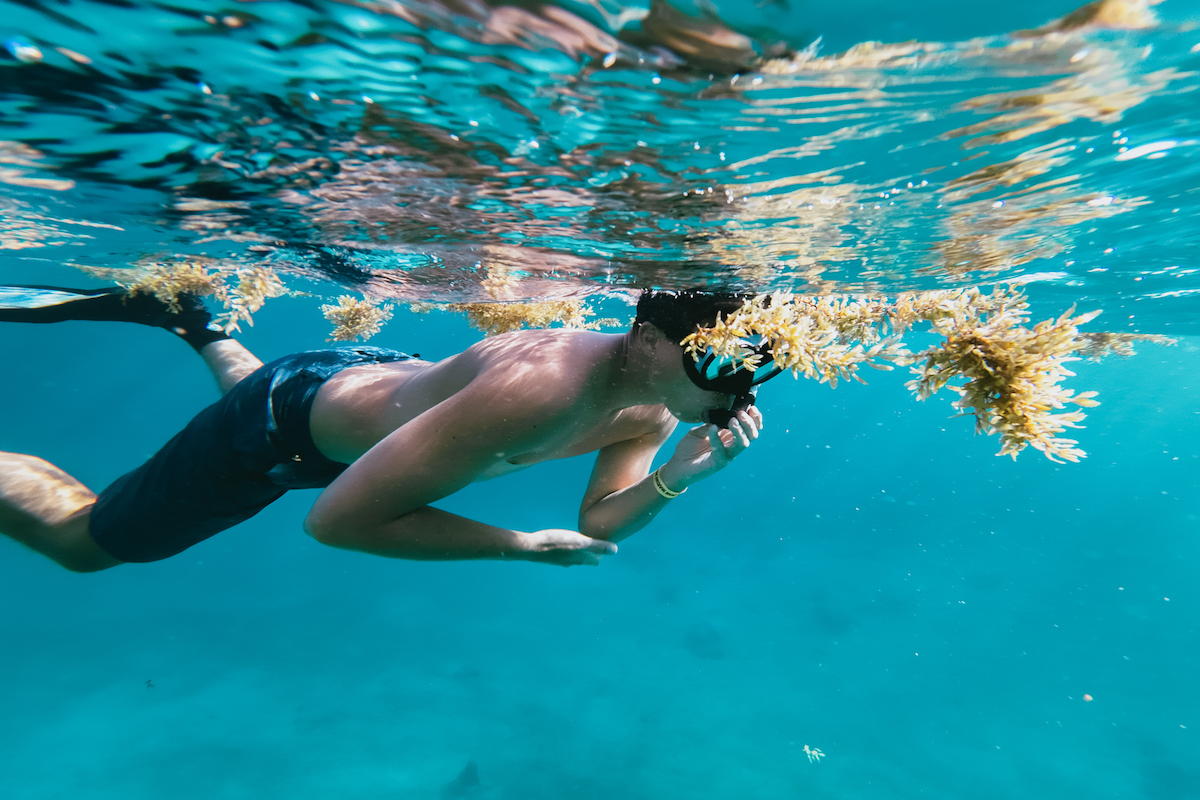 50 photos of belize snorkeling Hol Chan